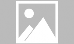 张译高露主演的电视剧,情感纠葛与命运抉择