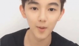 网红男明星,揭秘网红男明星的星光之路